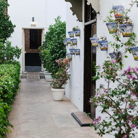 Seises Sevilla, A Tribute Portfolio 4*